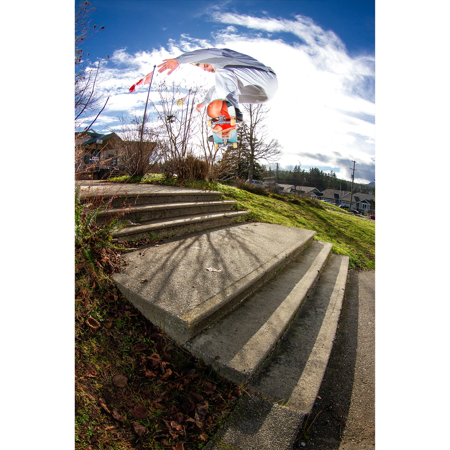 Instrumental Skateboards x Primary Skate Shop Pam Deck - 8.25